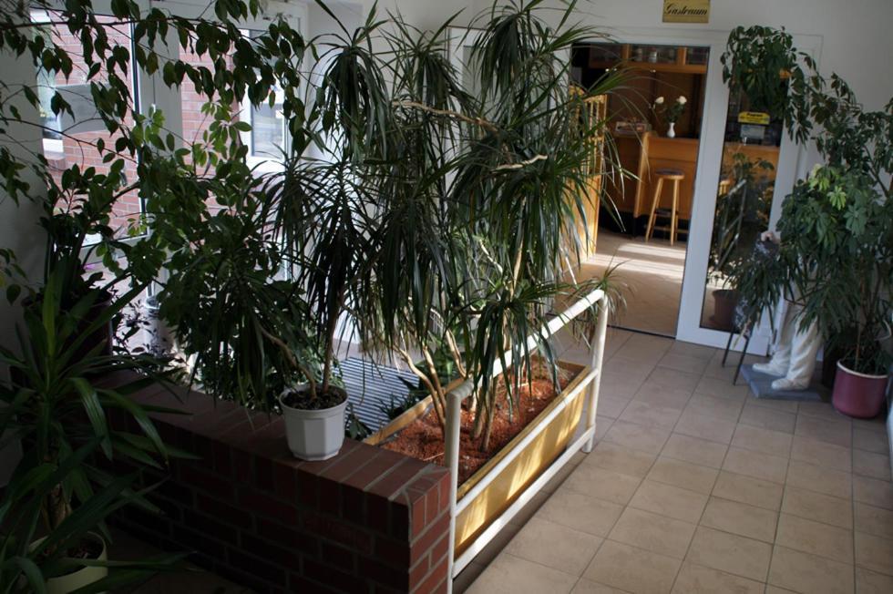 Landhotel Pagram-Frankfurt/Oder Frankfurt nad Odrą Zewnętrze zdjęcie